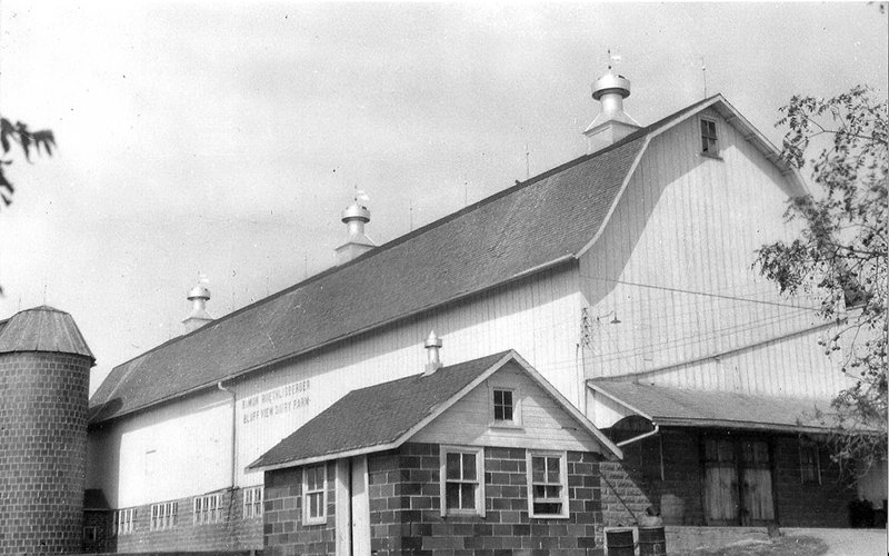 Buehl cow barn