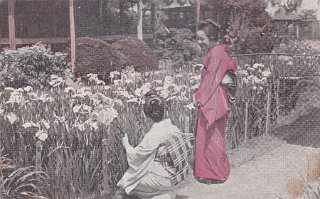 Unidentified.
